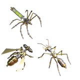 3D Metal Small Insect Pack Puzzle