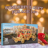 3D Metal Carriage Princess Puzzle