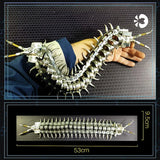 3D Metal Centipede Puzzle