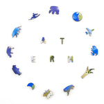 Earth Puzzle